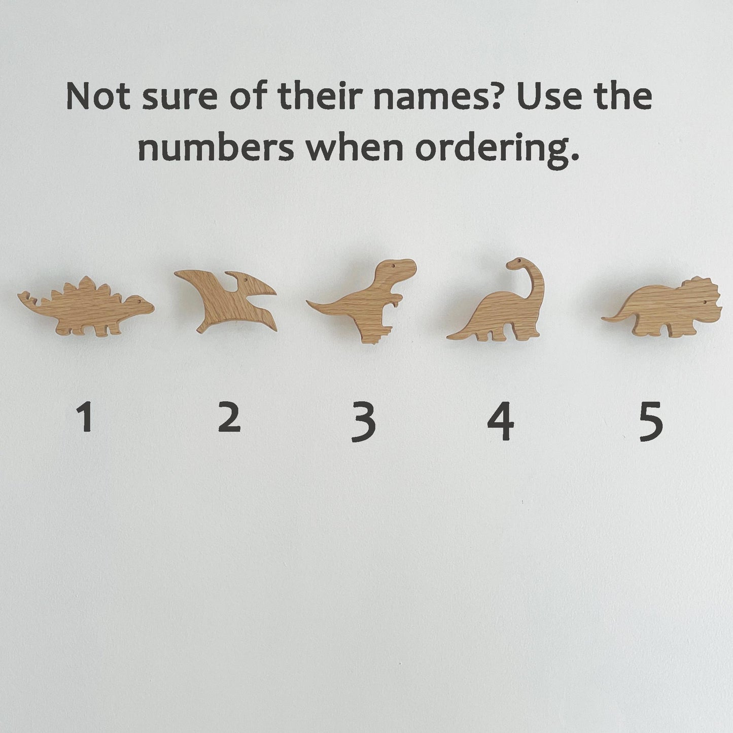 Dinosaur Animal Wall Hooks